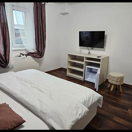 ホテル Casa Coco Curtea de Argeş エクステリア 写真